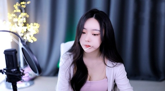 成免费CRM特色学生版的特点