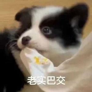 ʺϴѧ0Ԫ˼