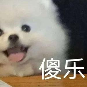  ʺϴѧ0Ԫ˼