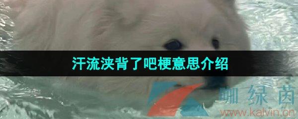 䤱˰ɹ˼