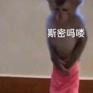 䤱˰ɹ˼