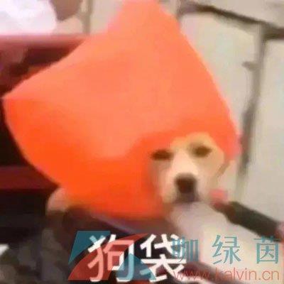 ˼