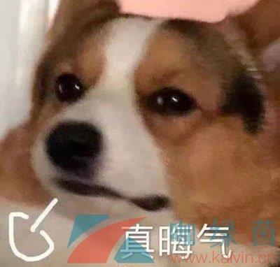 ˼