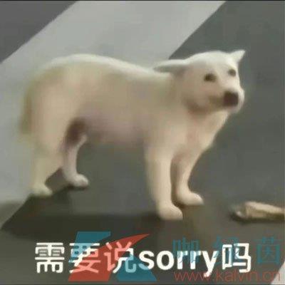 զĹ˼