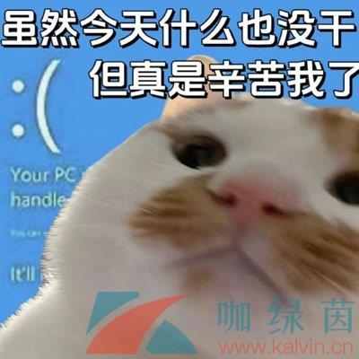 զĹ˼
