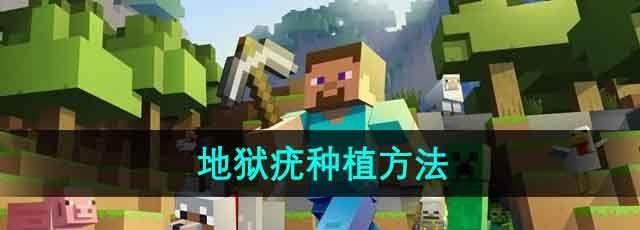 ҵ硷ֲ