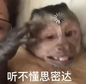 ˼ܴ﹣˼