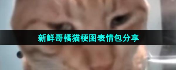 ʸèͼ