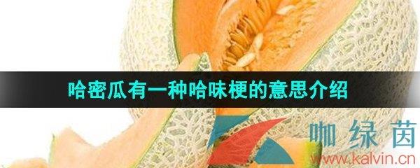 ܹһֹζ˼