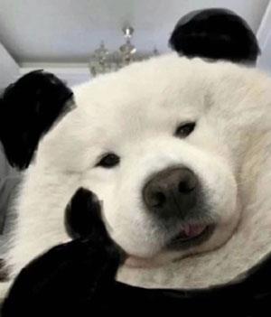 йԼĴ˼