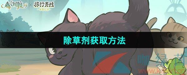 ɭ֮Ρݼȡ