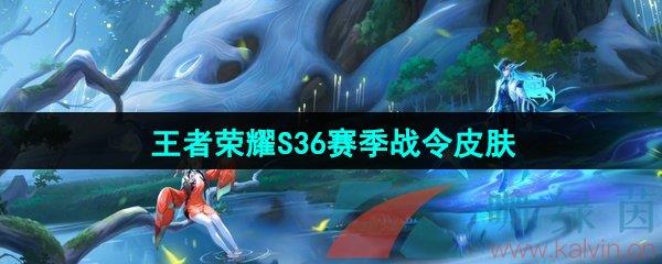 ҫS36սƤ
