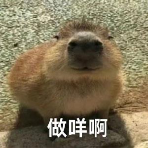 ˮྫ֢״˼