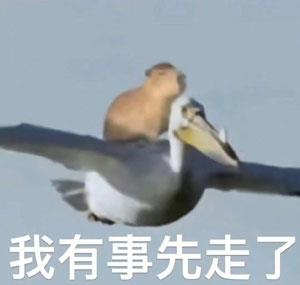 ˮྫ֢״˼