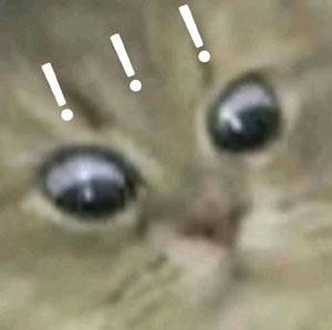 ﶼʼ˹˼