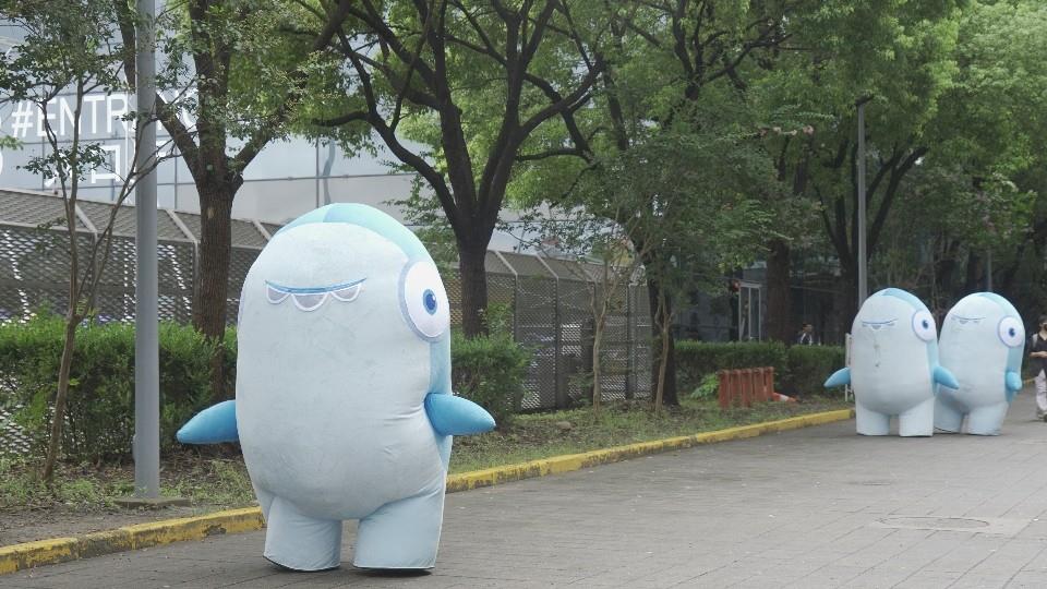 ̫жֳȦˣʺ񳱣㡰ץ衱û