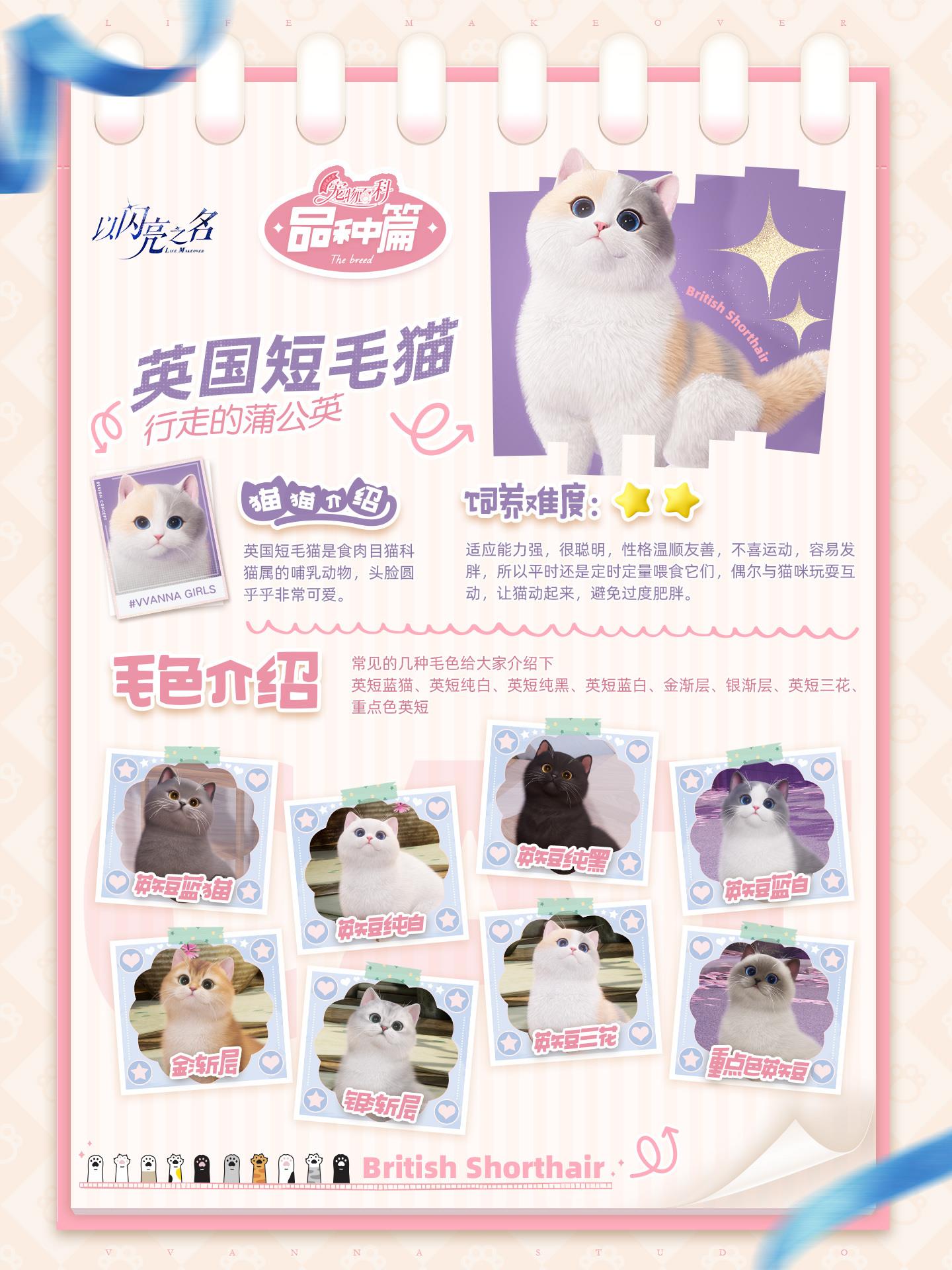 ֮ϵͳ淨