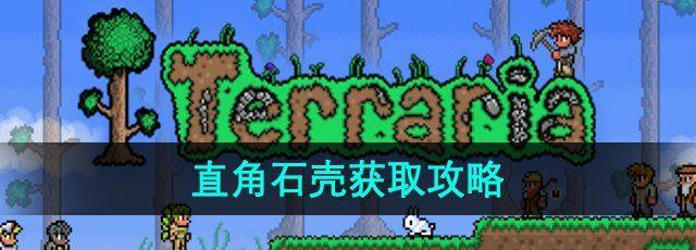 ̩ǡֱʯǻȡ