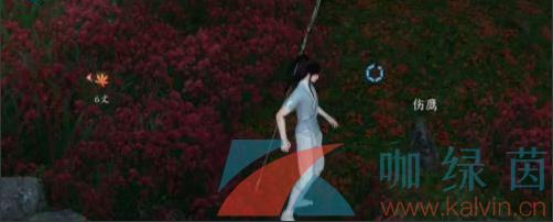 ˮΡӥ