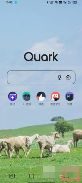 ǹ