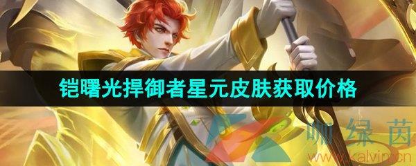 ҫ⺴ԪƤȡ۸