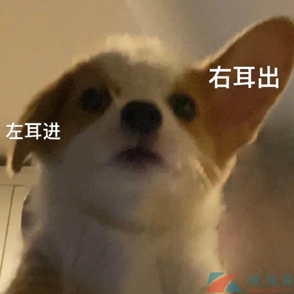 ±깣˼
