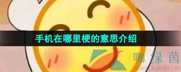 ֻ﹣˼