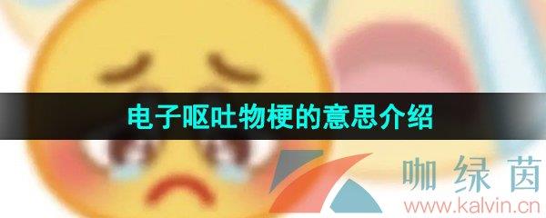 Ż﹣˼