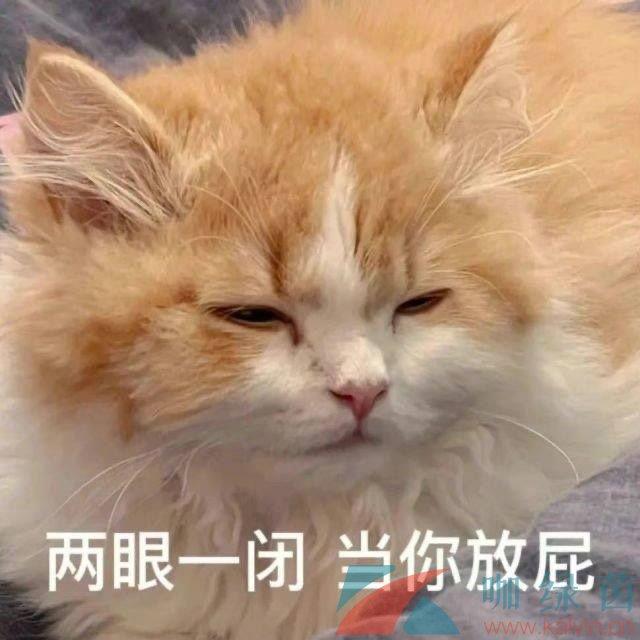 Ĺ˼