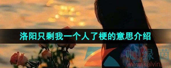 ֻʣһ˹˼