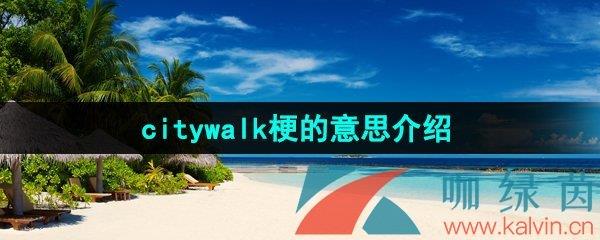 citywalk˼