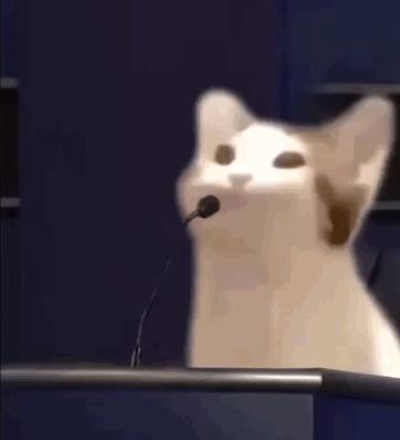 һֻ޵пĺ弰