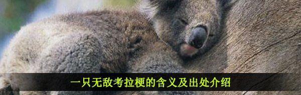 һֻ޵пĺ弰