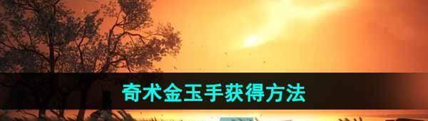 ʮֻ÷