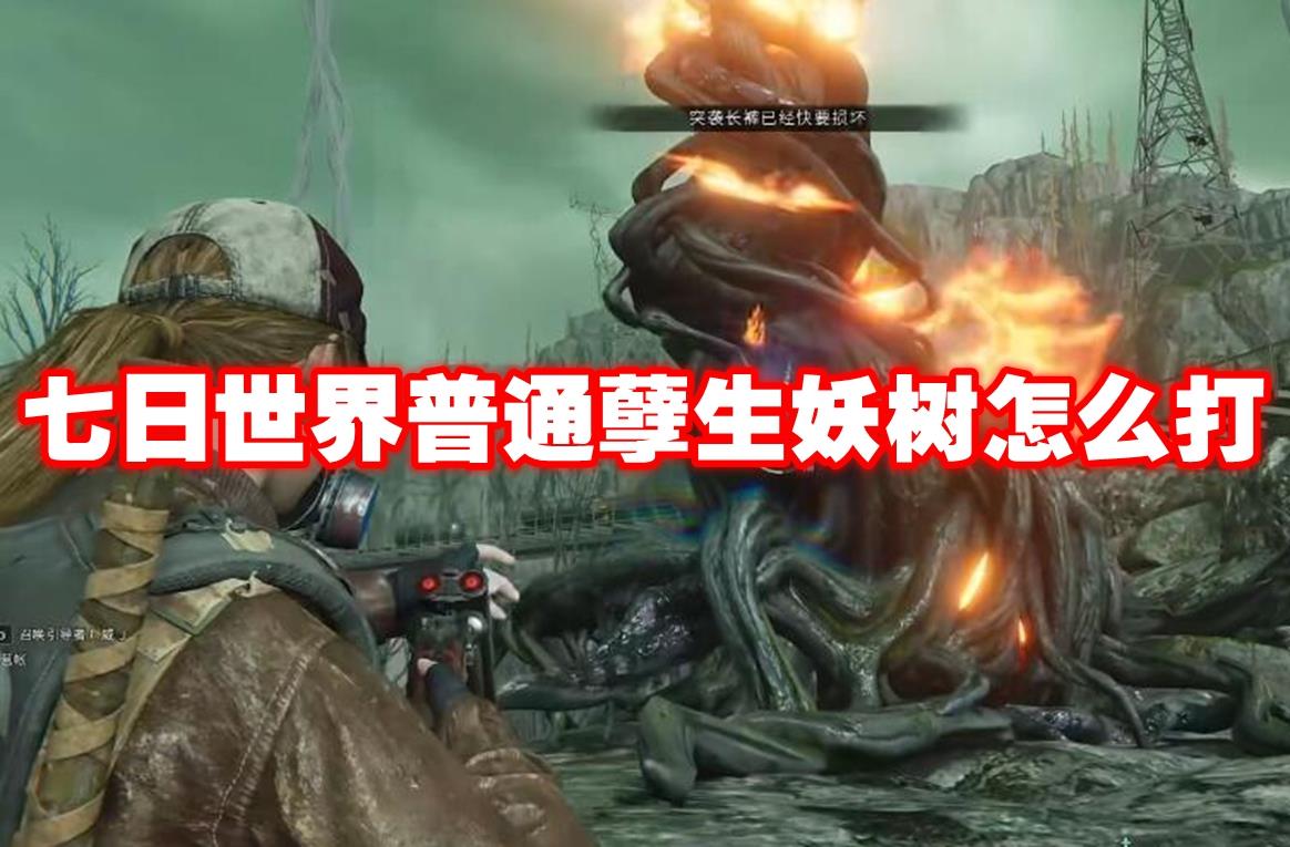 ͨô