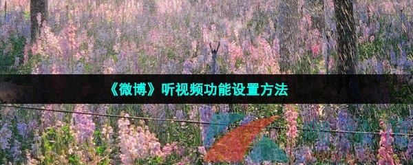 ΢Ƶ÷