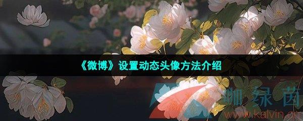 ΢ö̬ͷ񷽷