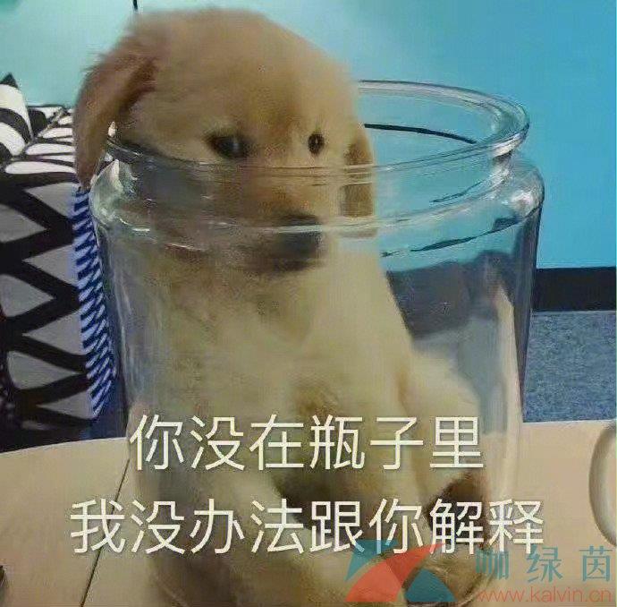 ӥ˼