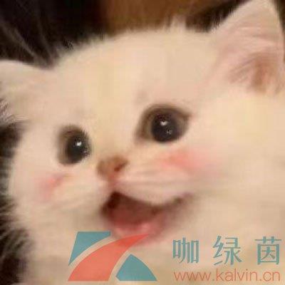 ѽѽڹ˼