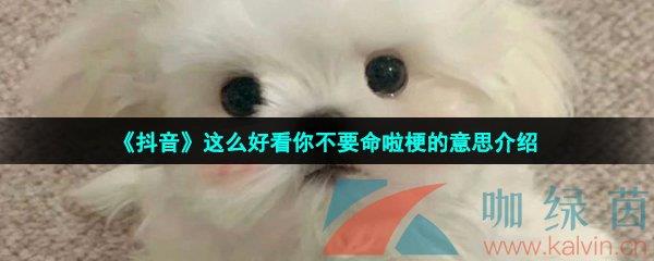ôÿ㲻Ҫ˼