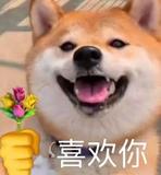ôÿ㲻Ҫ˼