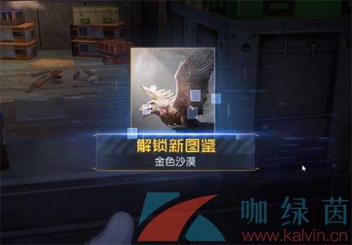 ɫɳĮרλý