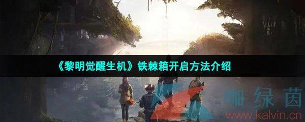 俪