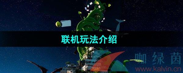 onlyup淨
